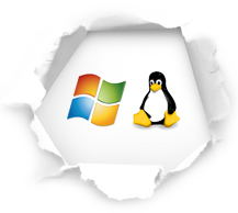 Linux und windows supported automatischer test
